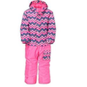 The North Face 3T Toddler Insulated Snow Suit